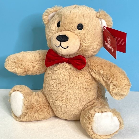 NEW Edi Bear‎ Teddy Lovey 11" Cuddly Plush Stuffed Animal Toy - Picture 5 of 7